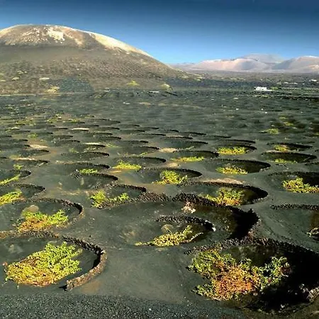 Casa Mcelroy Villa Tias